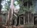 Ta Phrom