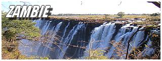 Zambie